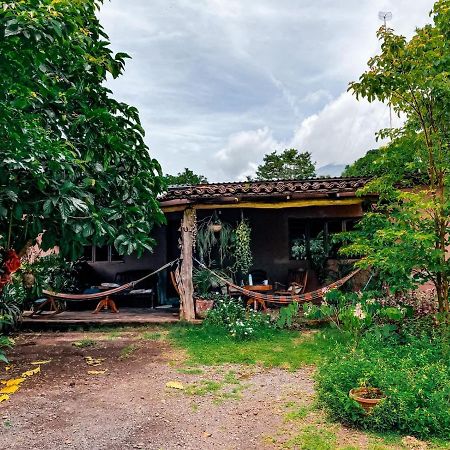 Mérida Casa Papaki 아파트 외부 사진